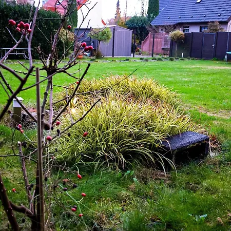 Bibo 1 Lägenhet Bielefeld